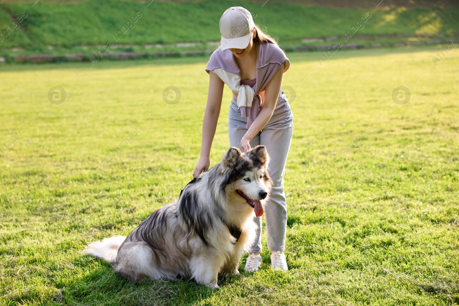 Smiling woman with her cute Alaskan malamute dog on green grass outdoors in morning Photo of Smiling woman with her cute Alaskan malamute dog on green grass outdoors in morning