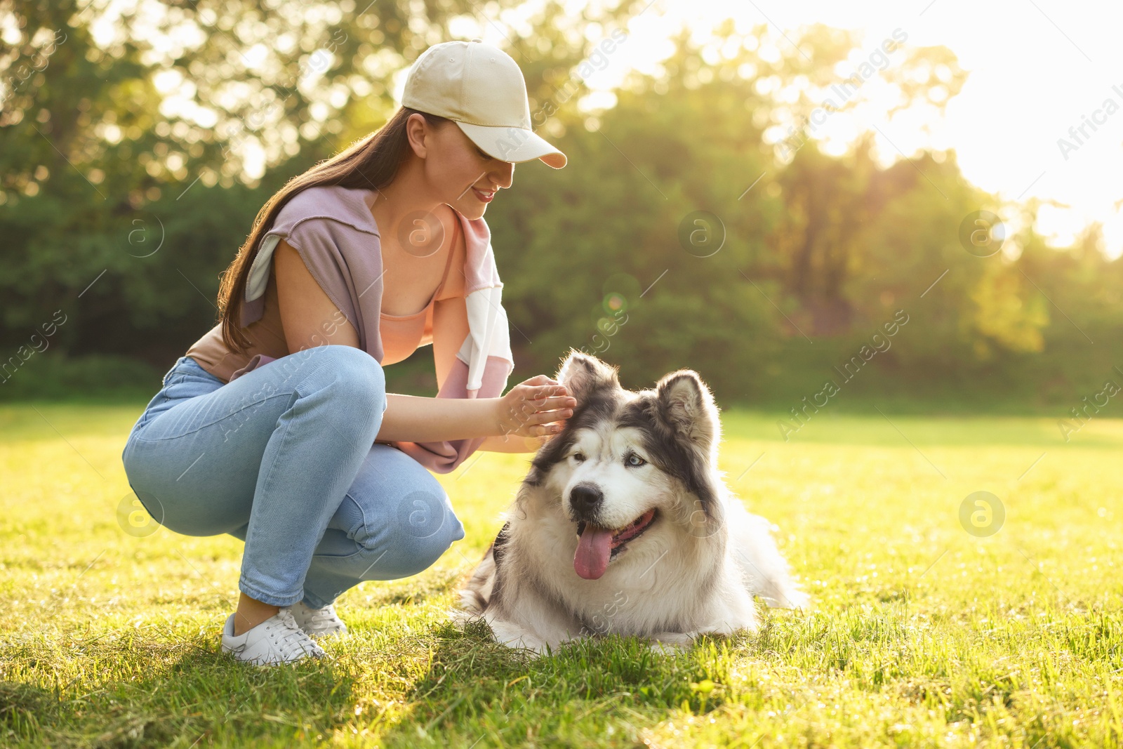 Smiling woman with her cute Alaskan malamute dog on green grass outdoors in morning Photo of Smiling woman with her cute Alaskan malamute dog on green grass outdoors in morning