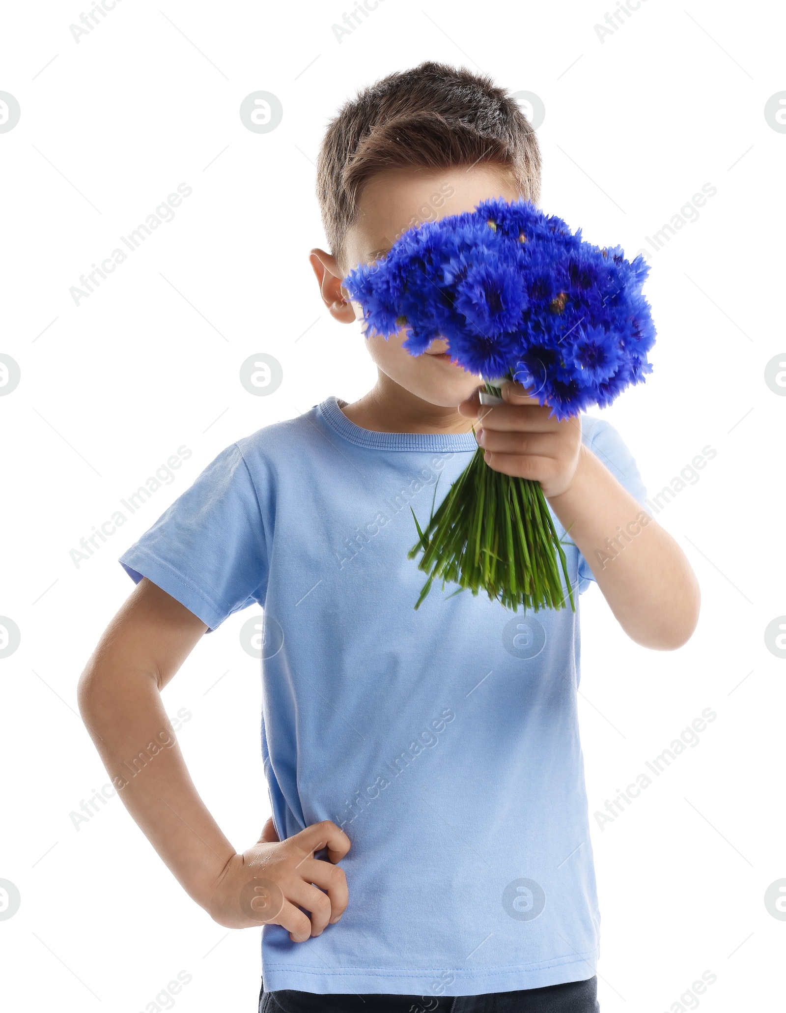 Little boy hiding behind bouquet of beautiful cornflowers on white background Photo of Little boy hiding behind bouquet of beautiful cornflowers on white background