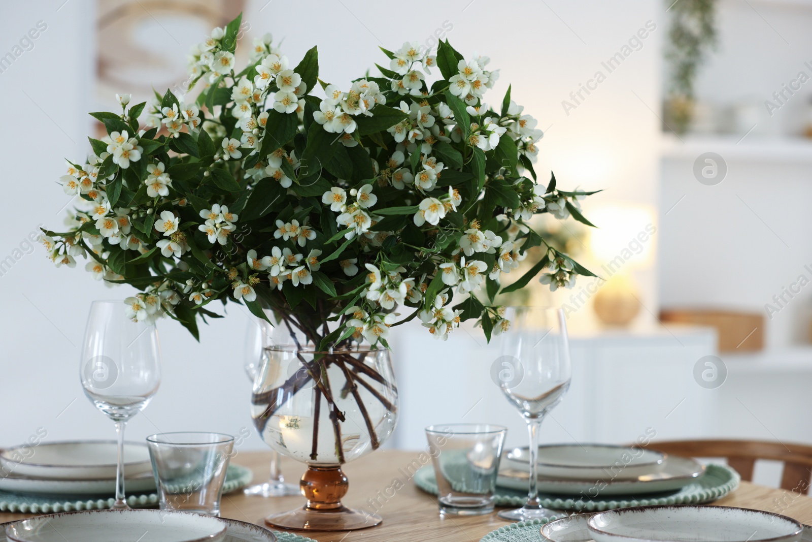 Bouquet of beautiful jasmine flowers on dining table indoors Photo of Bouquet of beautiful jasmine flowers on dining table indoors