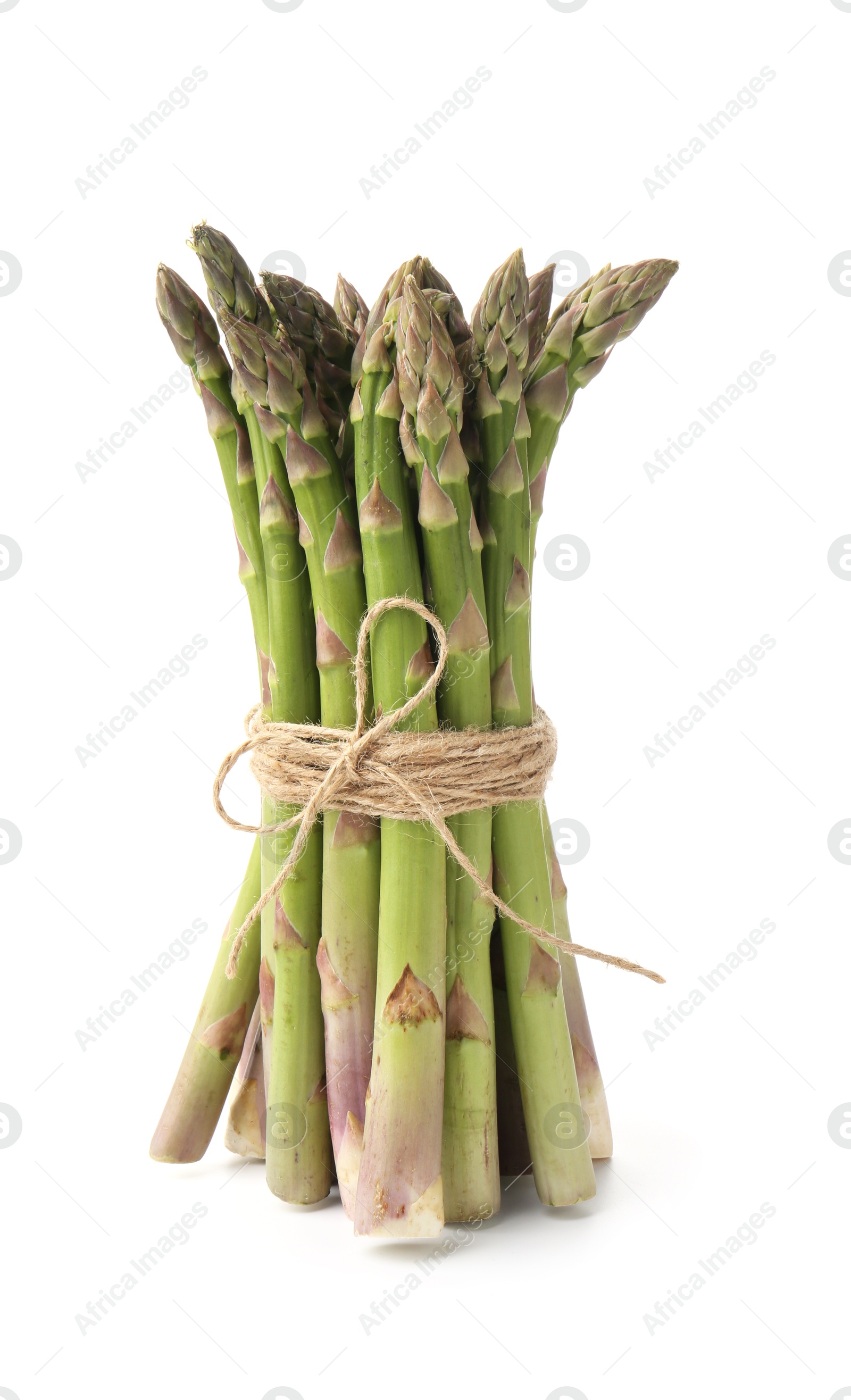 Bunch of fresh raw asparagus spears isolated on white Photo of Bunch of fresh raw asparagus spears isolated on white