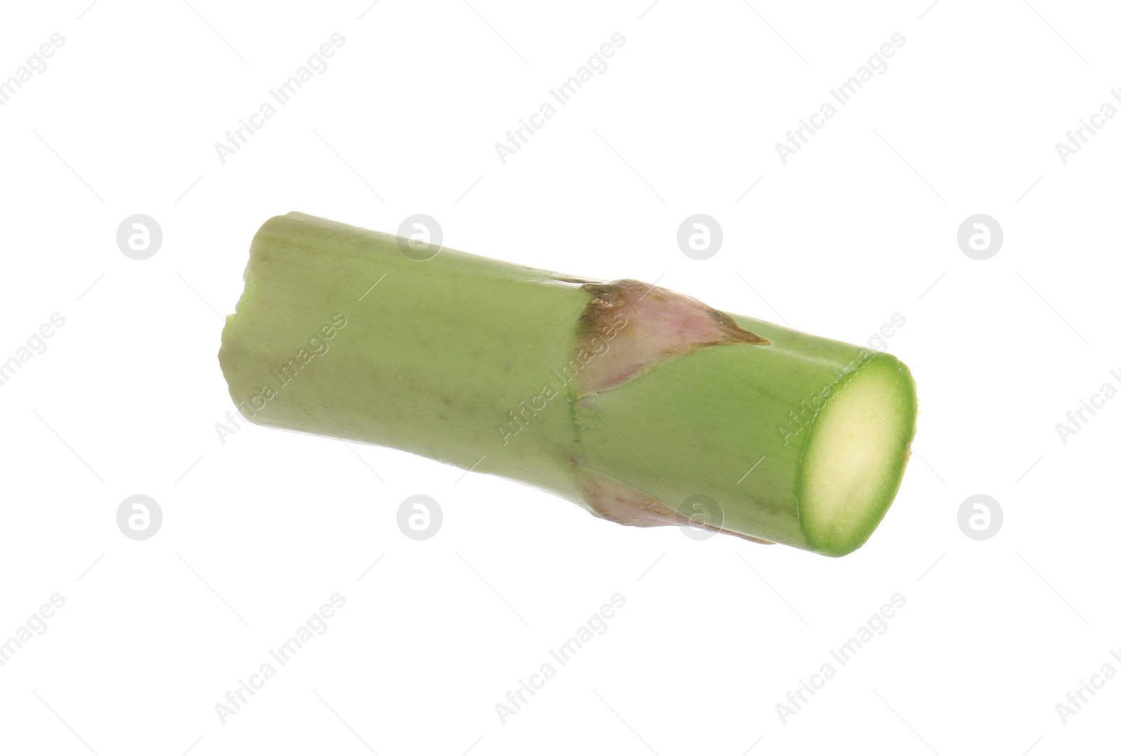 Piece of asparagus spear isolated on white Photo of Piece of asparagus spear isolated on white
