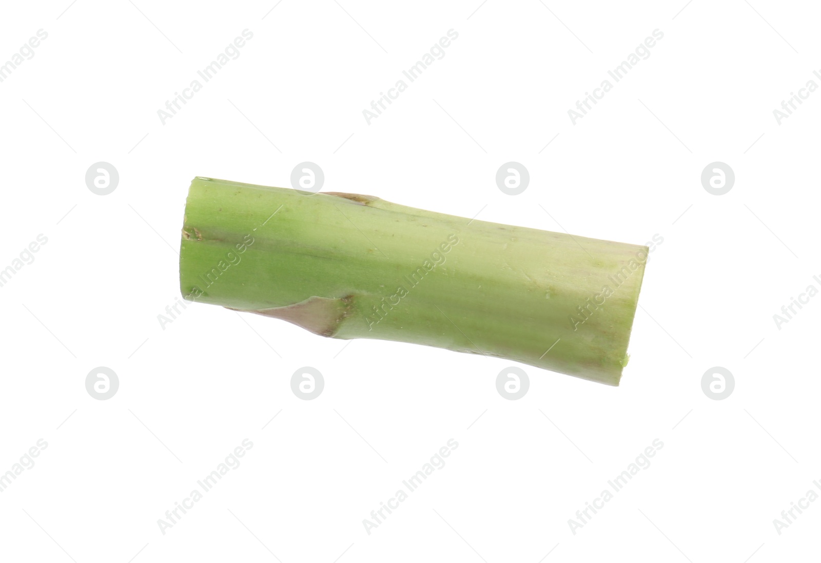 Piece of asparagus spear isolated on white Photo of Piece of asparagus spear isolated on white