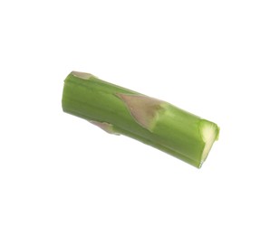 Photo of Piece of asparagus spear isolated on white