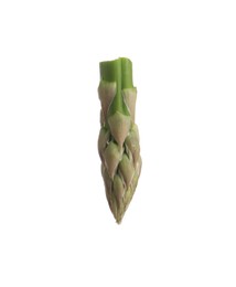 Photo of Piece of asparagus spear isolated on white
