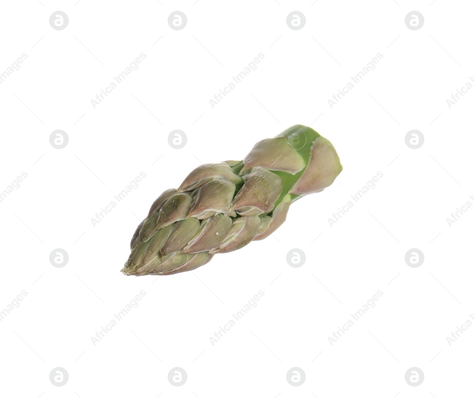 Piece of asparagus spear isolated on white Photo of Piece of asparagus spear isolated on white