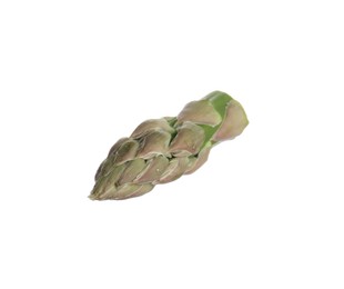 Photo of Piece of asparagus spear isolated on white