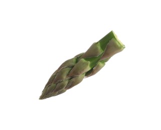 Photo of Piece of asparagus spear isolated on white