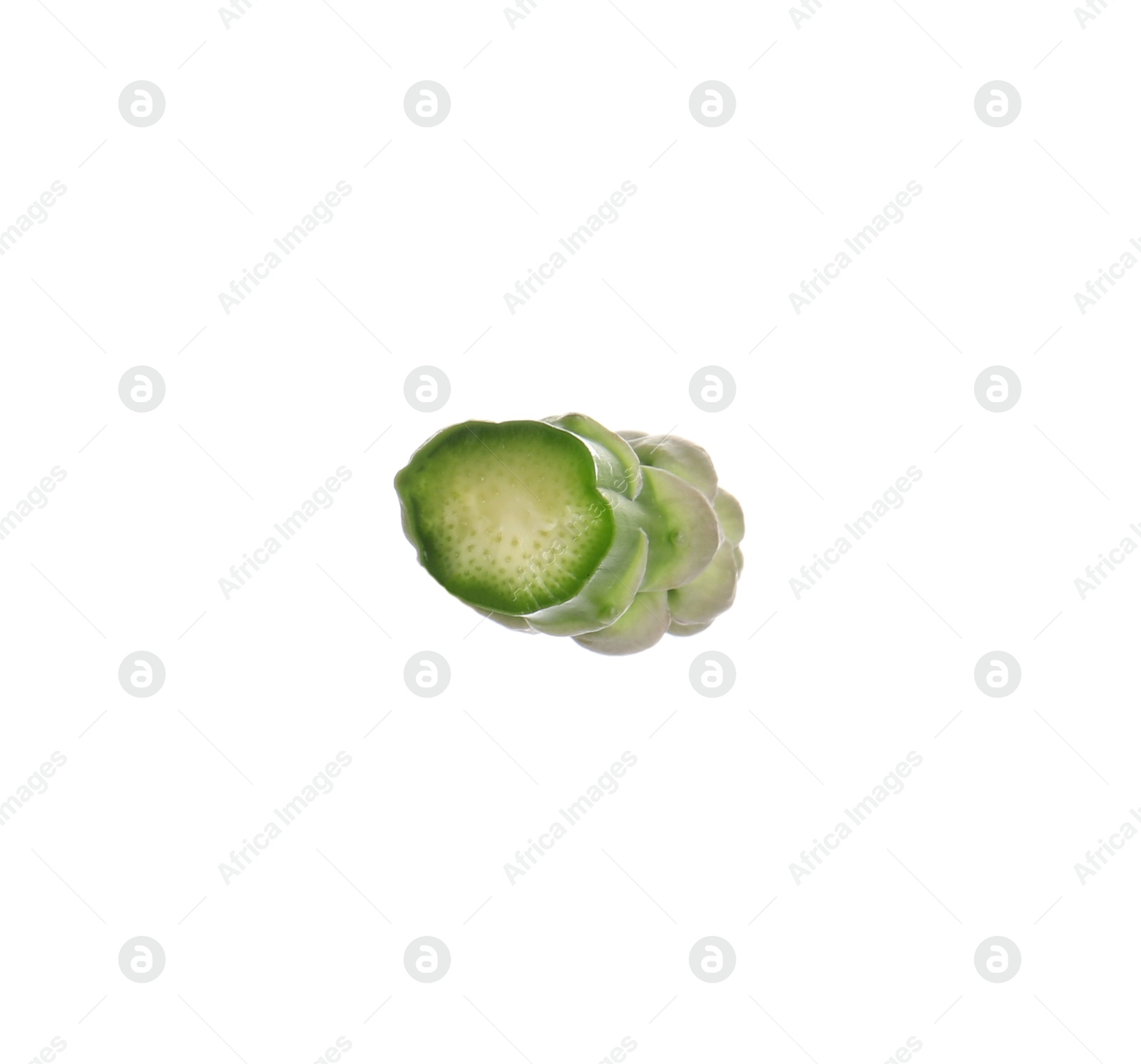 Piece of asparagus spear isolated on white Photo of Piece of asparagus spear isolated on white