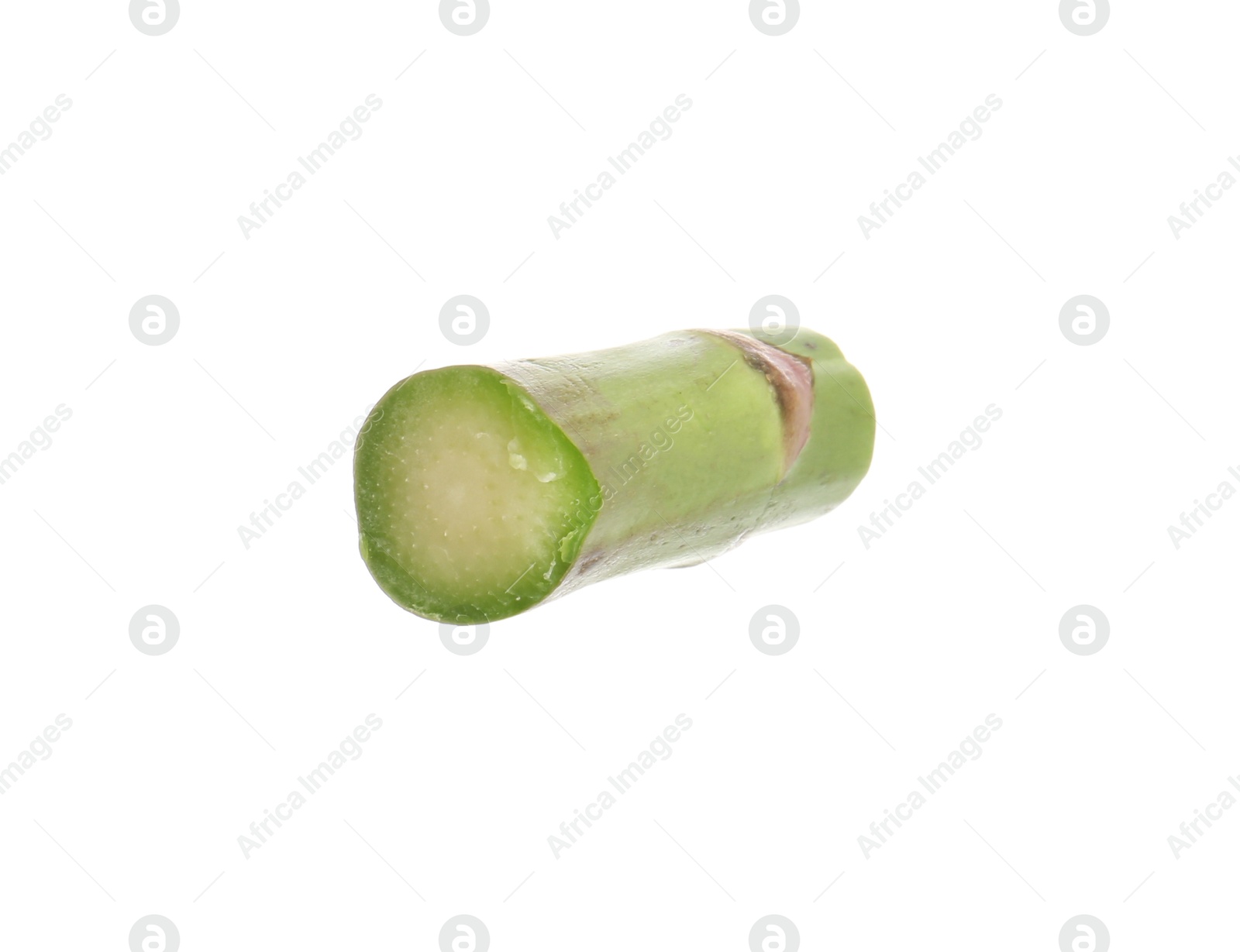 Piece of asparagus spear isolated on white Photo of Piece of asparagus spear isolated on white