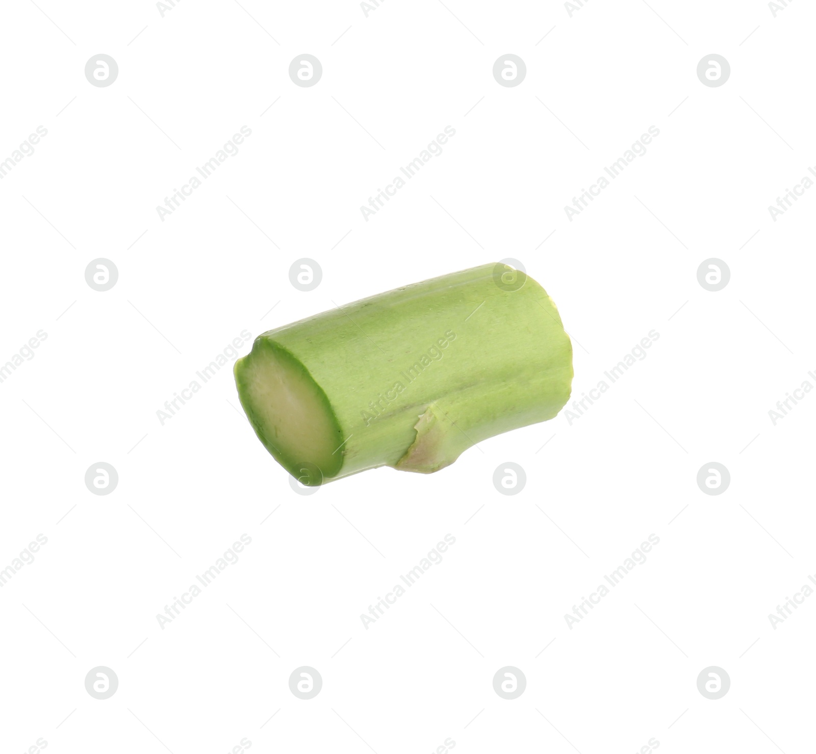 Piece of asparagus spear isolated on white Photo of Piece of asparagus spear isolated on white