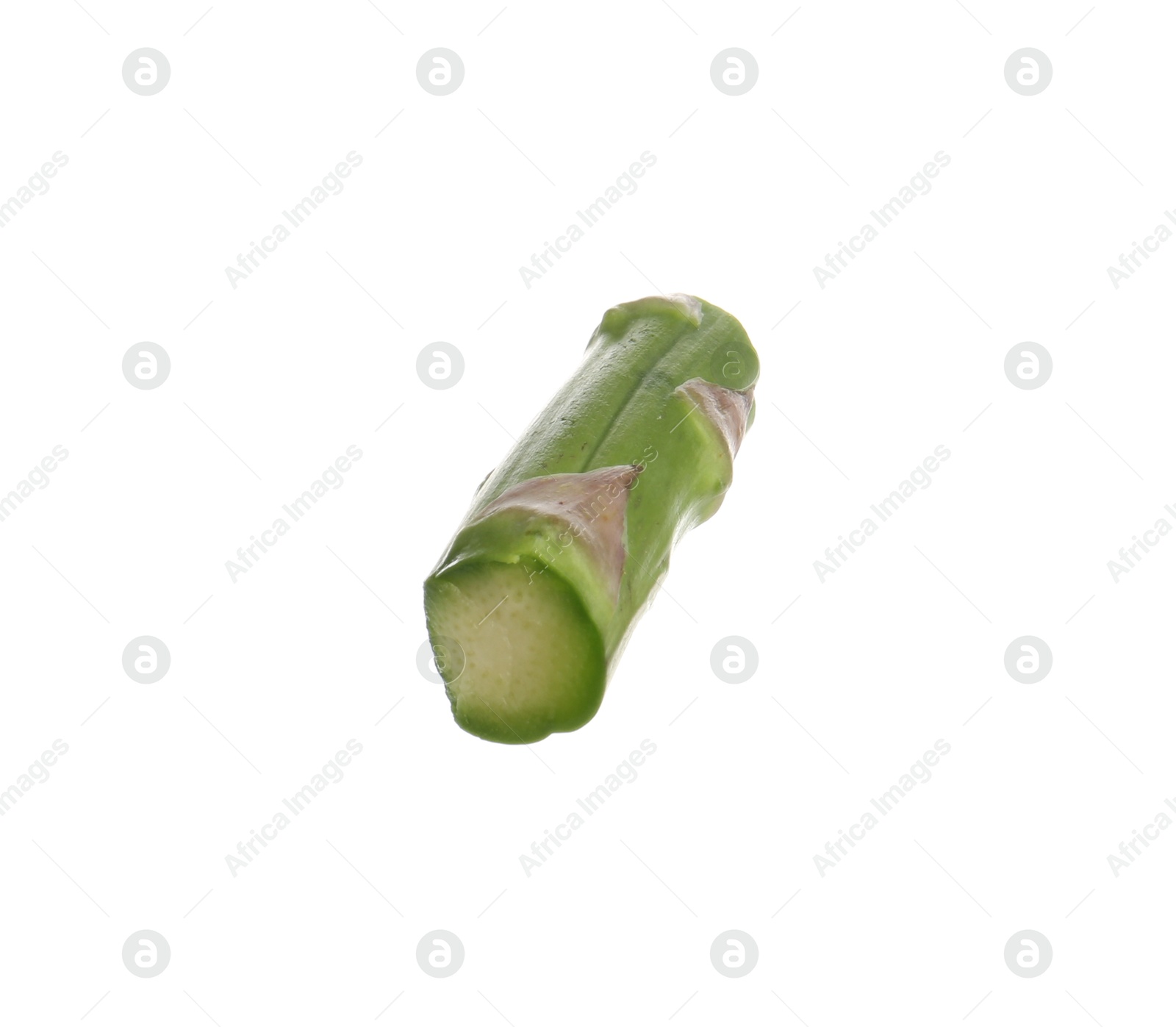 Piece of asparagus spear isolated on white Photo of Piece of asparagus spear isolated on white