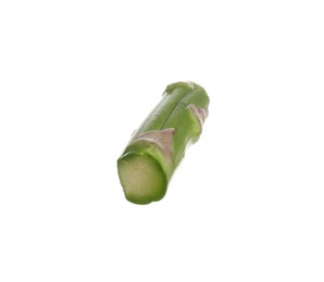 Photo of Piece of asparagus spear isolated on white