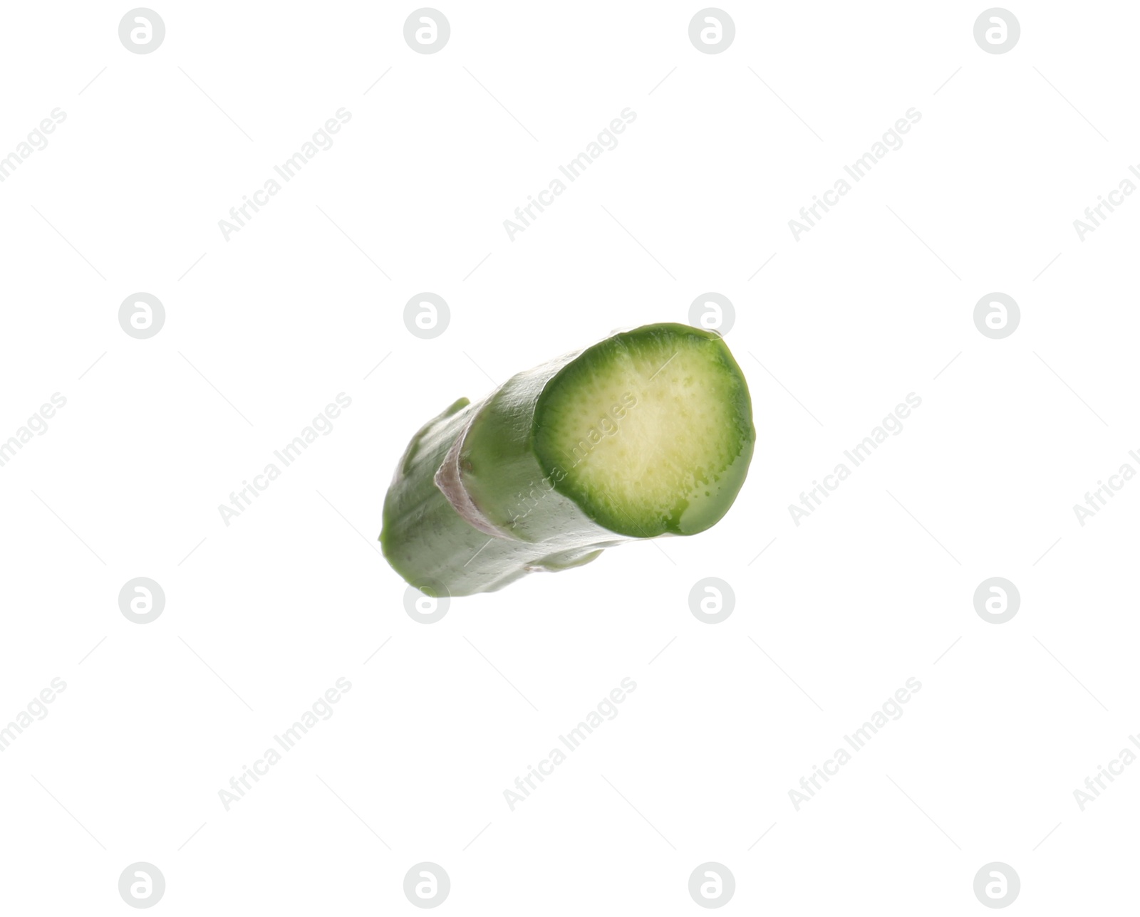 Piece of asparagus spear isolated on white Photo of Piece of asparagus spear isolated on white