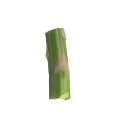 Photo of Piece of asparagus spear isolated on white