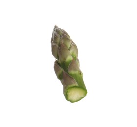 Photo of Piece of asparagus spear isolated on white