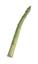 Photo of One raw asparagus spear isolated on white