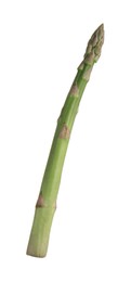 Photo of One raw asparagus spear isolated on white