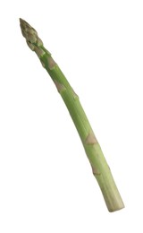 Photo of One raw asparagus spear isolated on white