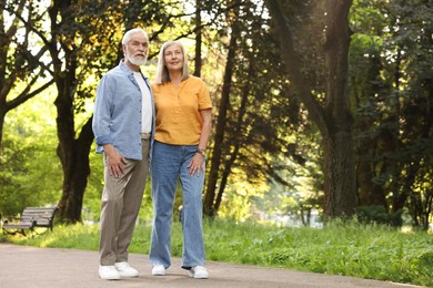 Photo of Lovely senior couple walking together in park, space for text