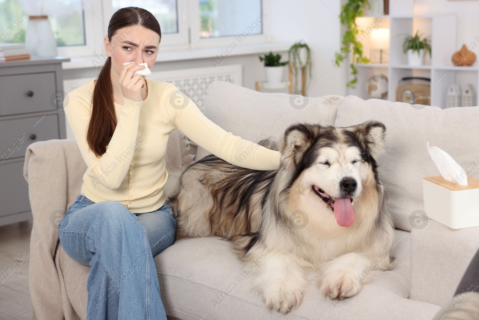 Woman suffering from allergy with her dog at home Photo of Woman suffering from allergy with her dog at home
