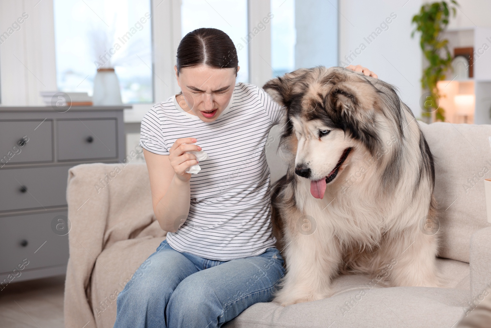 Woman suffering from allergy with her dog at home Photo of Woman suffering from allergy with her dog at home