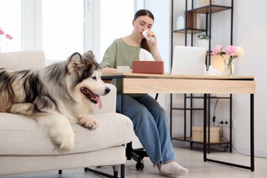 Photo of Woman suffering from allergy while working and her dog at home, selective focus