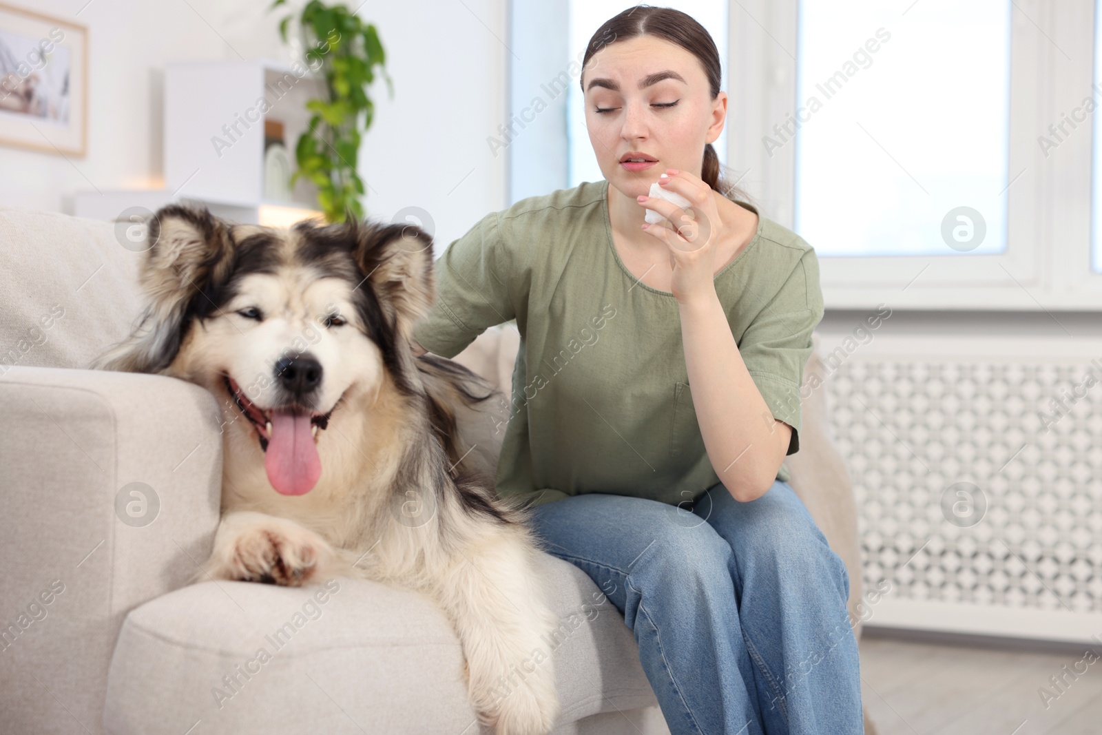 Woman suffering from allergy with her dog at home Photo of Woman suffering from allergy with her dog at home