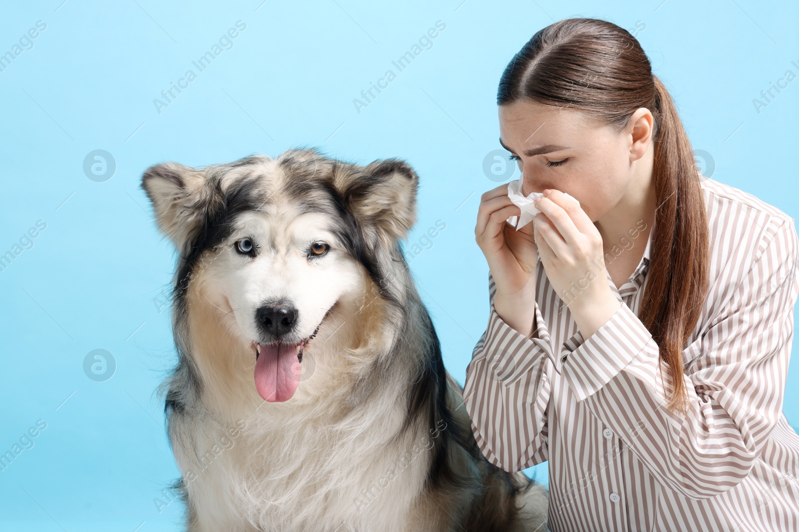 Woman suffering from allergy with her dog on light blue background Photo of Woman suffering from allergy with her dog on light blue background