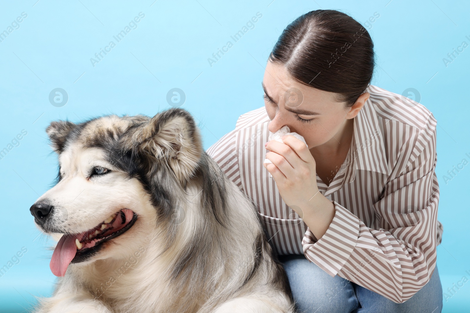 Woman suffering from allergy with her dog on light blue background Photo of Woman suffering from allergy with her dog on light blue background