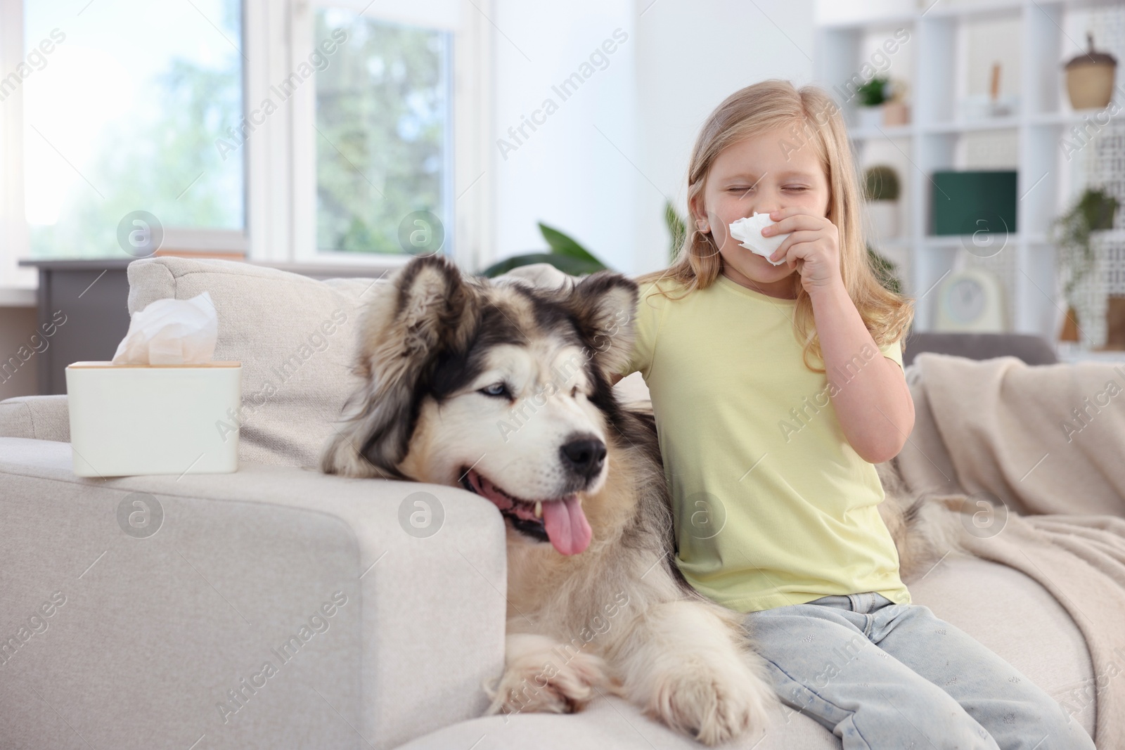 Girl suffering from allergy with her dog at home Photo of Girl suffering from allergy with her dog at home