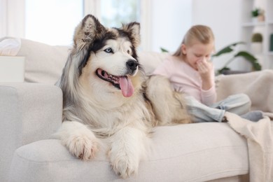 Photo of Girl suffering from allergy with her dog at home, selective focus