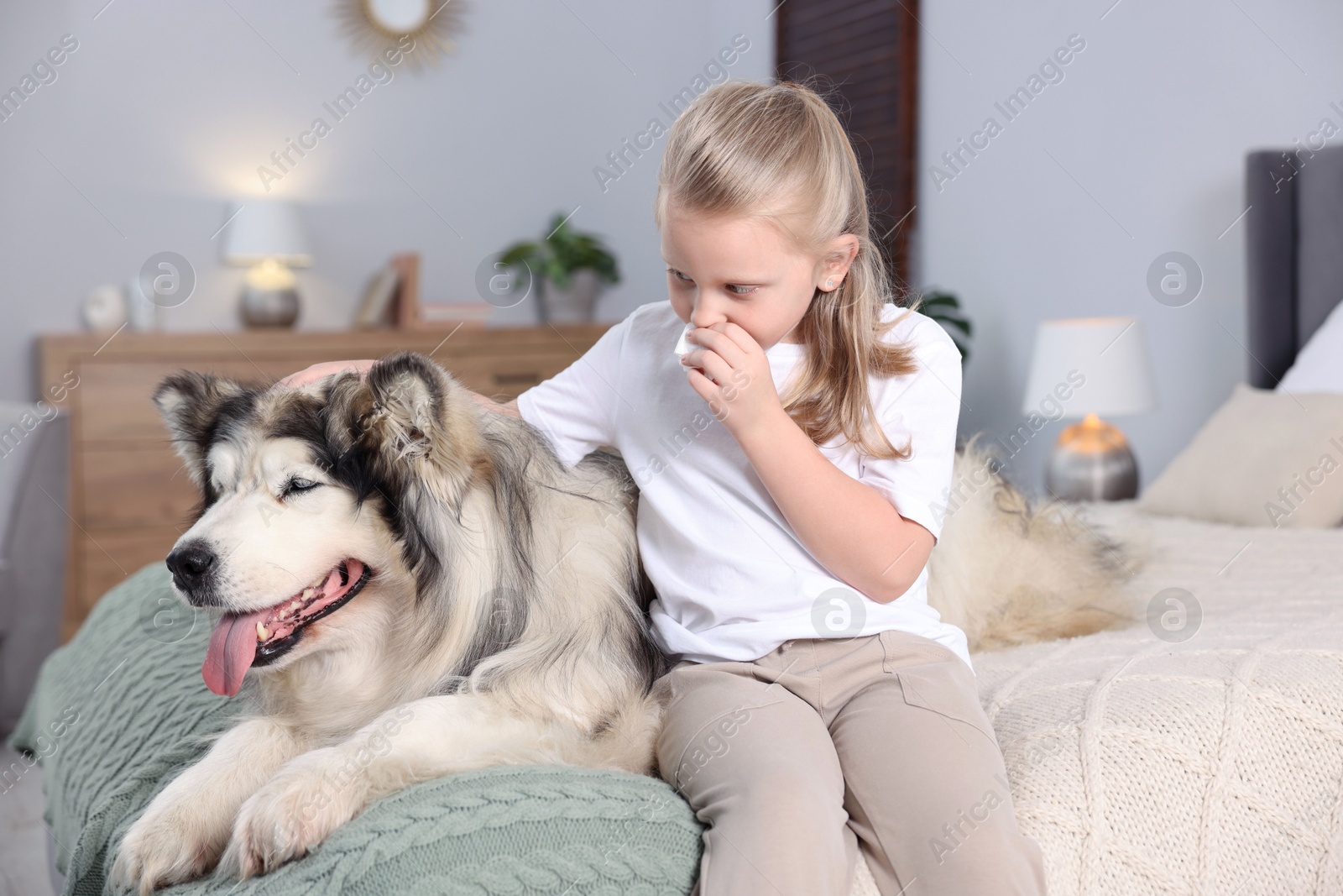 Girl suffering from allergy with her dog on bed at home Photo of Girl suffering from allergy with her dog on bed at home