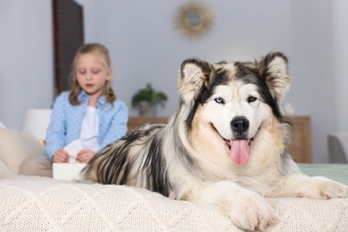 Photo of Girl suffering from allergy with her dog on bed at home, selective focus