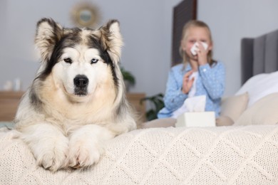 Photo of Girl suffering from allergy with her dog on bed at home, selective focus
