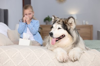Photo of Girl suffering from allergy with her dog on bed at home, selective focus