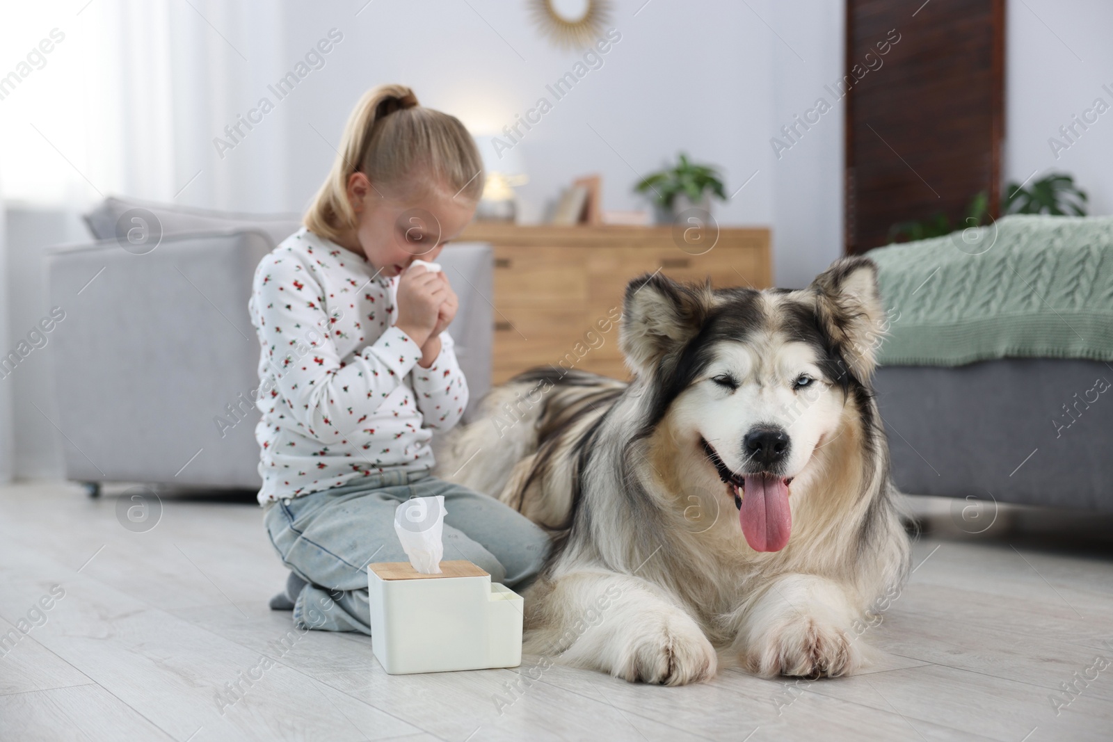 Girl suffering from allergy with her dog at home Photo of Girl suffering from allergy with her dog at home