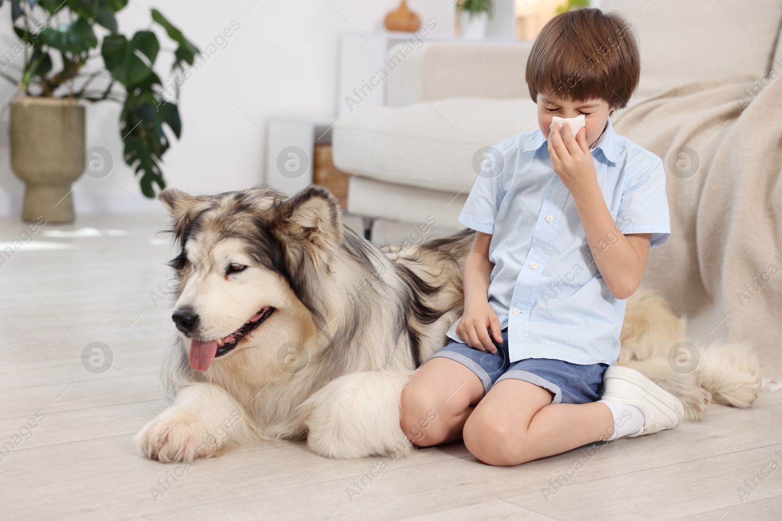 Boy suffering from allergy with her dog at home Photo of Boy suffering from allergy with her dog at home