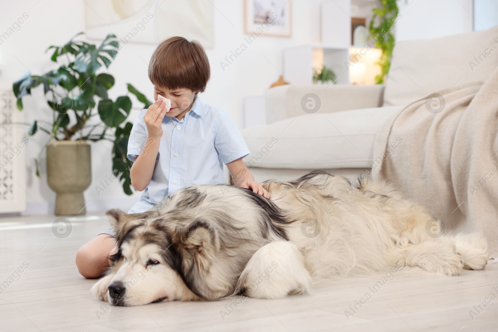 Boy suffering from allergy with her dog at home Photo of Boy suffering from allergy with her dog at home