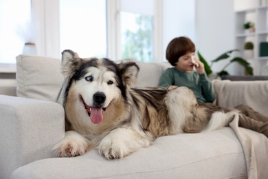 Photo of Boy suffering from allergy with her dog on sofa at home, selective focus