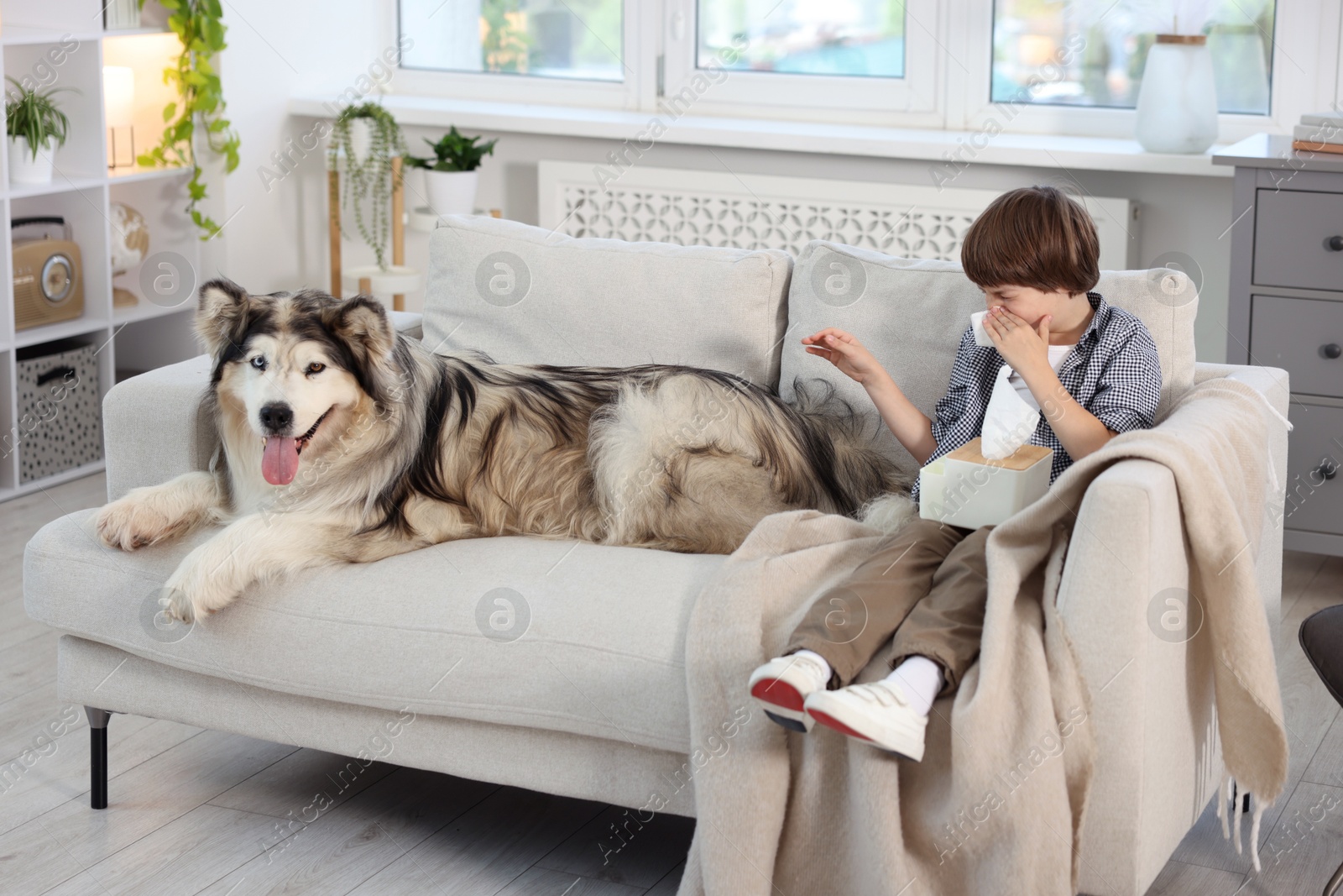 Photo of Boy suffering from allergy with her dog on sofa at home