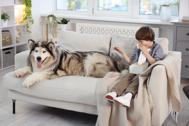 Photo of Boy suffering from allergy with her dog on sofa at home
