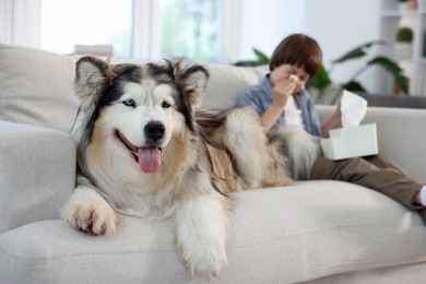Photo of Boy suffering from allergy with her dog on sofa at home, selective focus