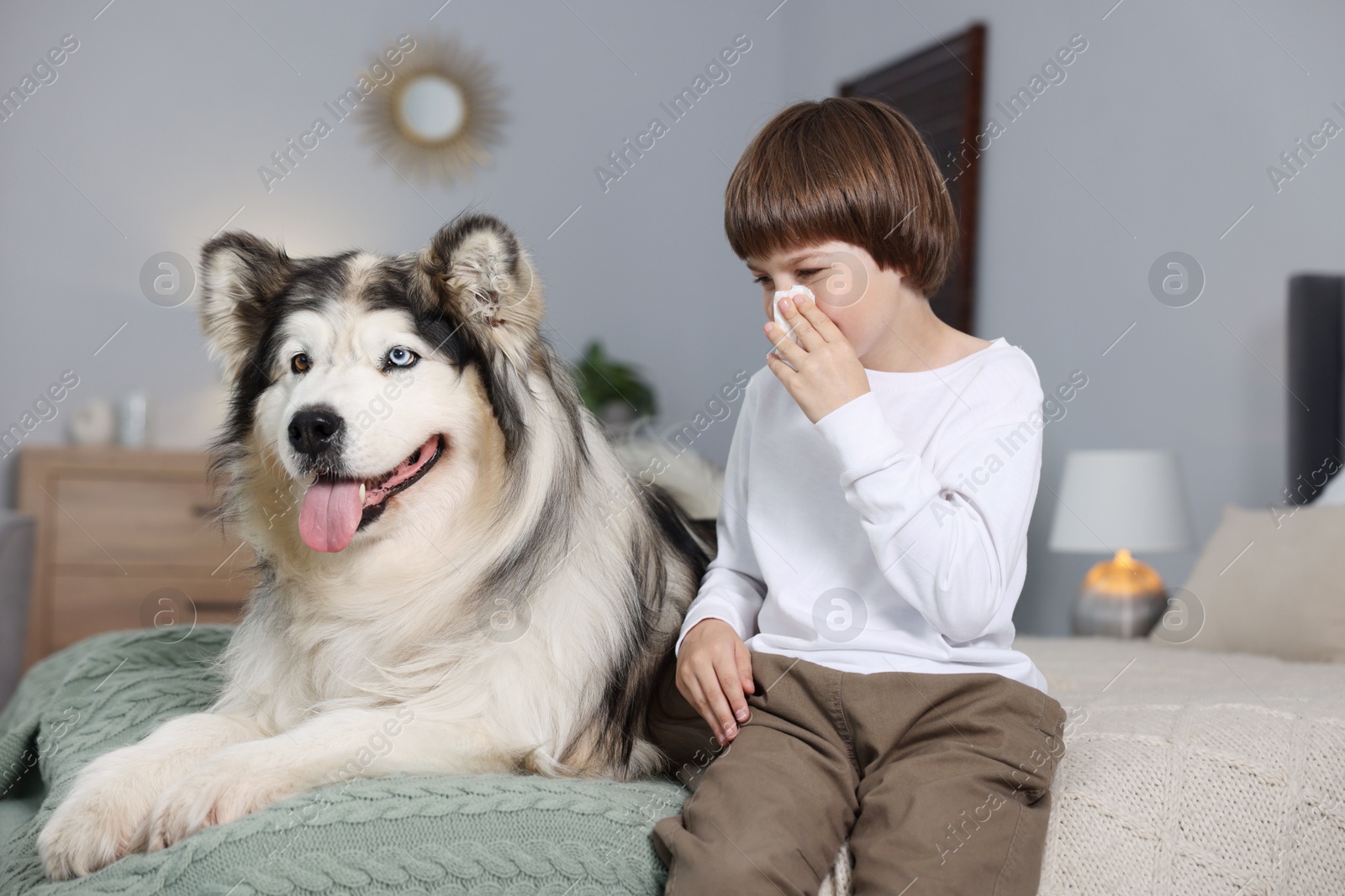 Photo of Boy suffering from allergy with her dog on bed at home