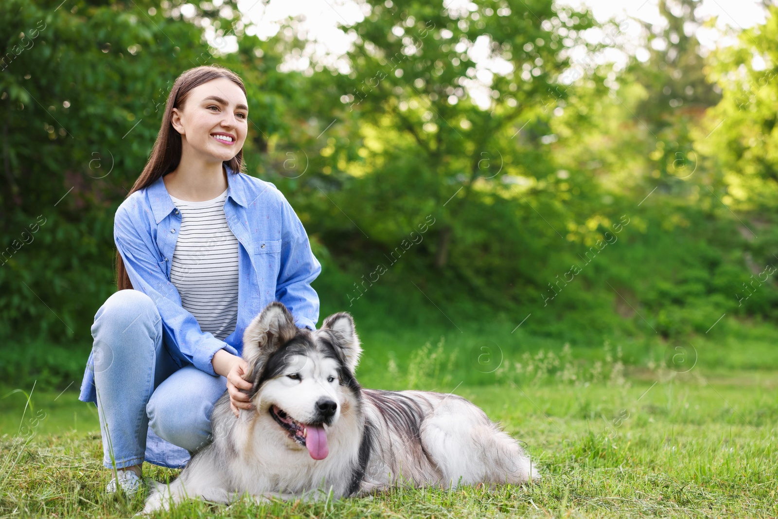Happy woman with her cute Alaskan malamute dog on green grass outdoors. Space for text Photo of Happy woman with her cute Alaskan malamute dog on green grass outdoors. Space for text