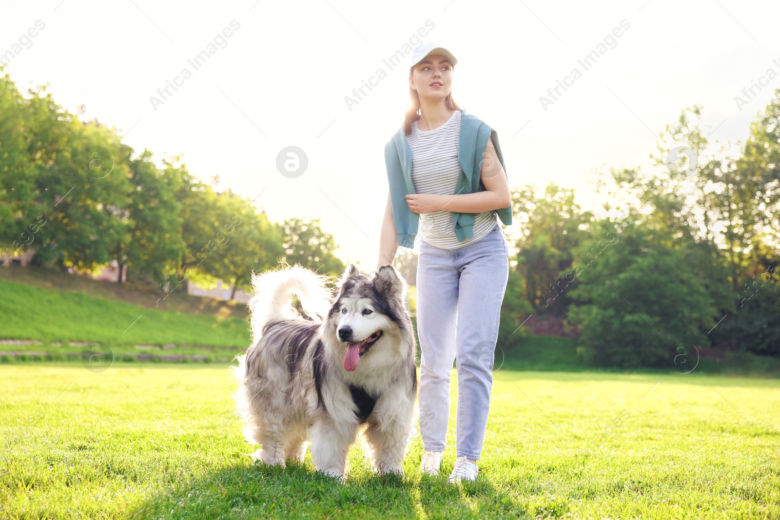 Woman with her cute Alaskan malamute dog outdoors in morning, low angle view Photo of Woman with her cute Alaskan malamute dog outdoors in morning, low angle view