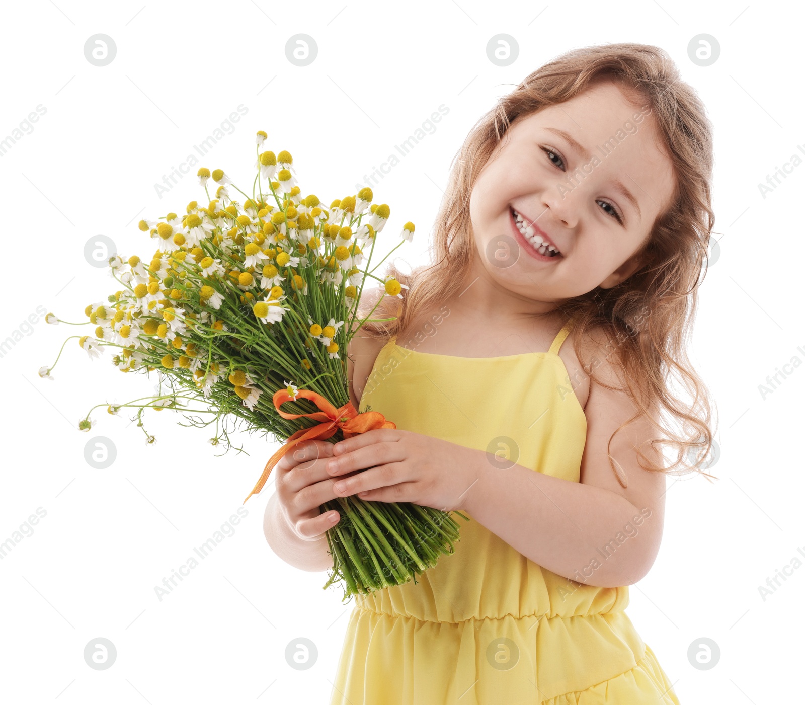 Cute little girl with bouquet of beautiful chamomile flowers on white background Photo of Cute little girl with bouquet of beautiful chamomile flowers on white background