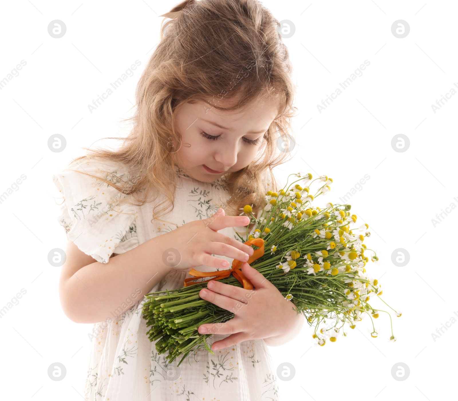 Cute little girl with bouquet of beautiful chamomile flowers on white background Photo of Cute little girl with bouquet of beautiful chamomile flowers on white background