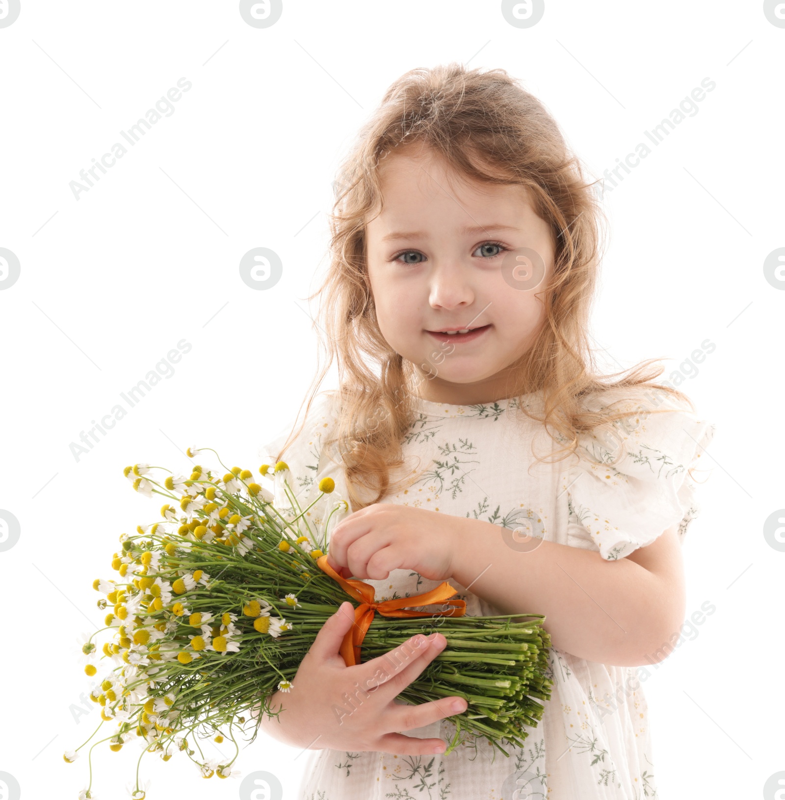 Cute little girl with bouquet of beautiful chamomile flowers on white background Photo of Cute little girl with bouquet of beautiful chamomile flowers on white background