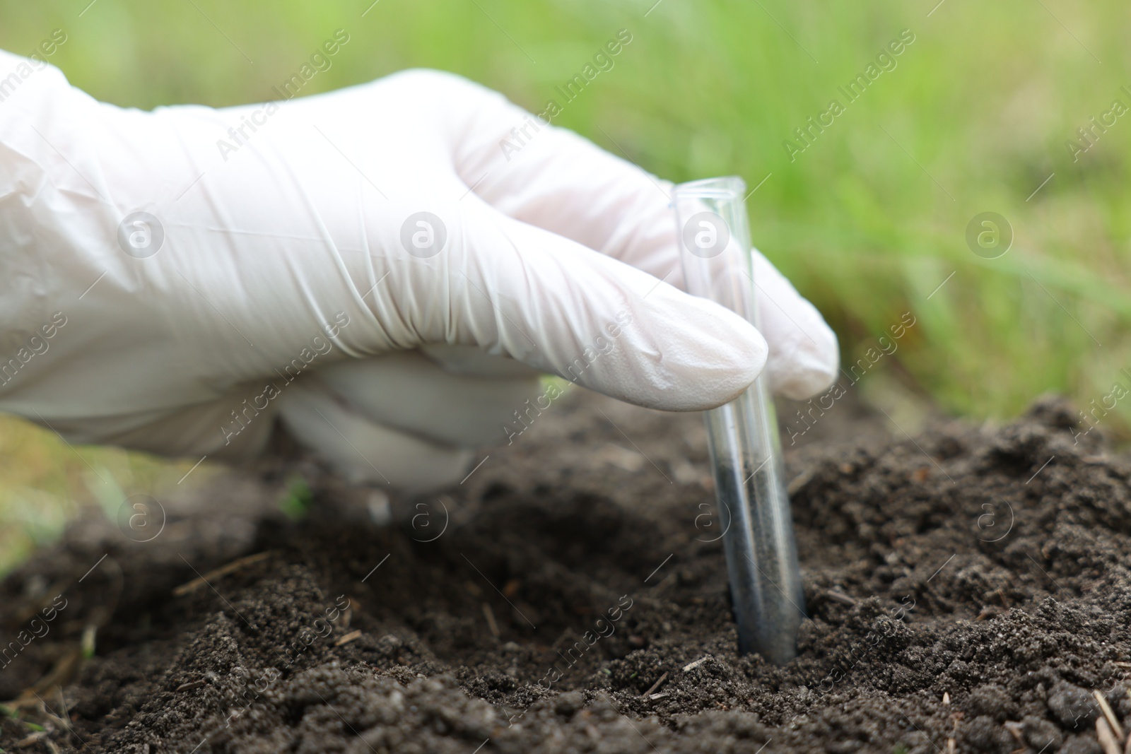 Photo of Scientist taking soil sample for research outdoors, closeup